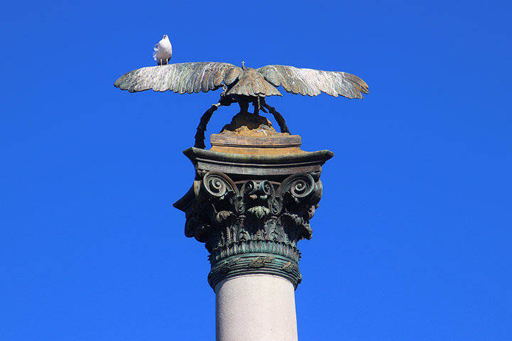 �������� ����������� �������� - �������� ��������� � ������� �� ��� ������������ �����